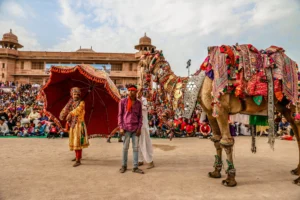 Bikaner Camel Festival