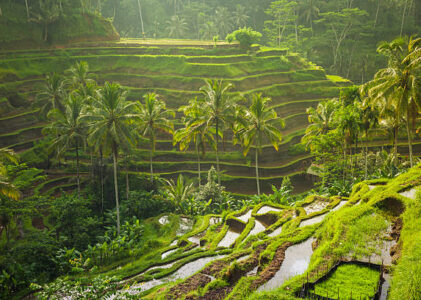 Bali, Indonesia: The Ultimate Guide to the Island of the Gods