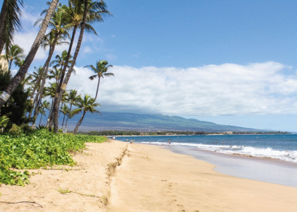 Maui Hawaii Travel Guide: Best Time & Top Attractions