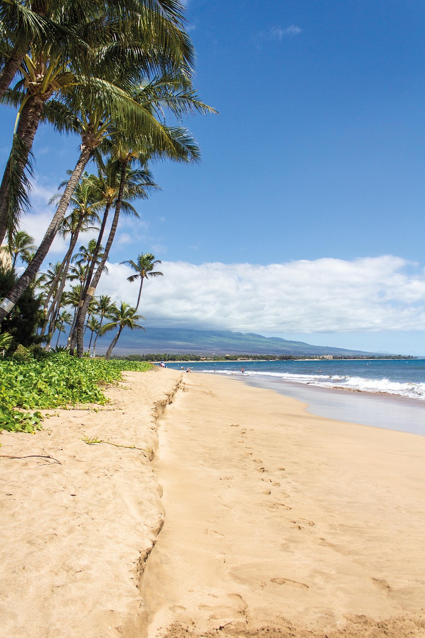 Maui Hawaii Travel Guide: Best Time & Top Attractions