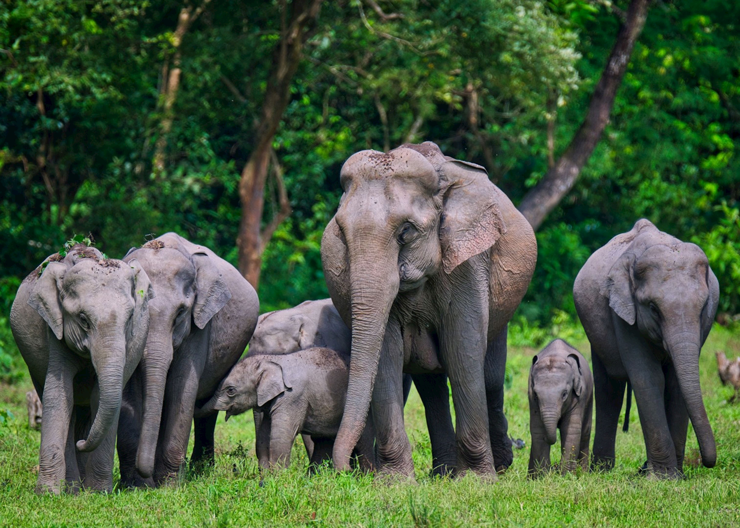 Best Places to Visit in Assam: Top 10 Guide