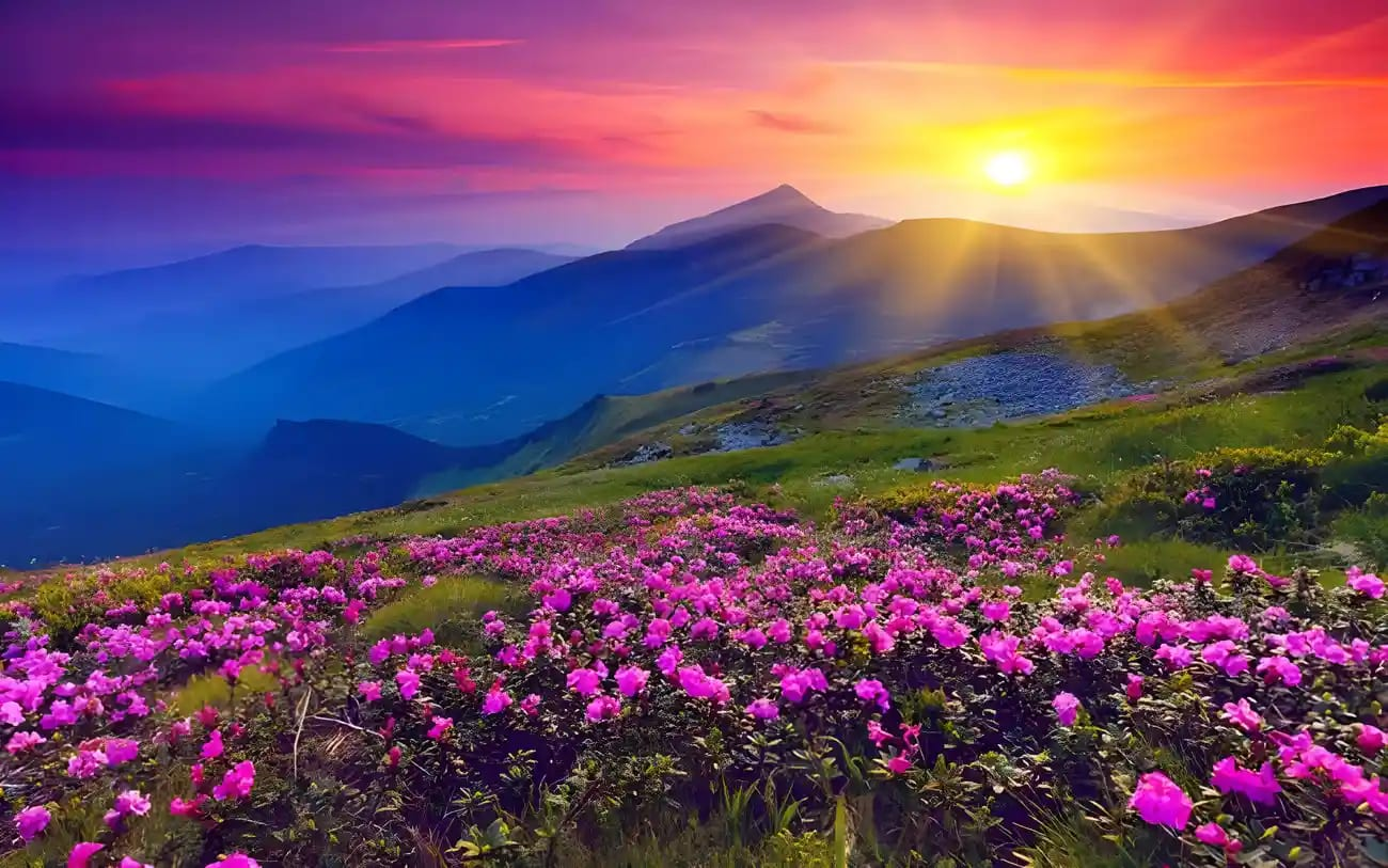 10 Tourist Places in Sikkim: The Ultimate High-Altitude Travel Guide